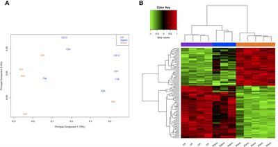 Alterations in leukocyte DNA methylome are associated to immunosuppression in severe clinical phenotypes of septic patients